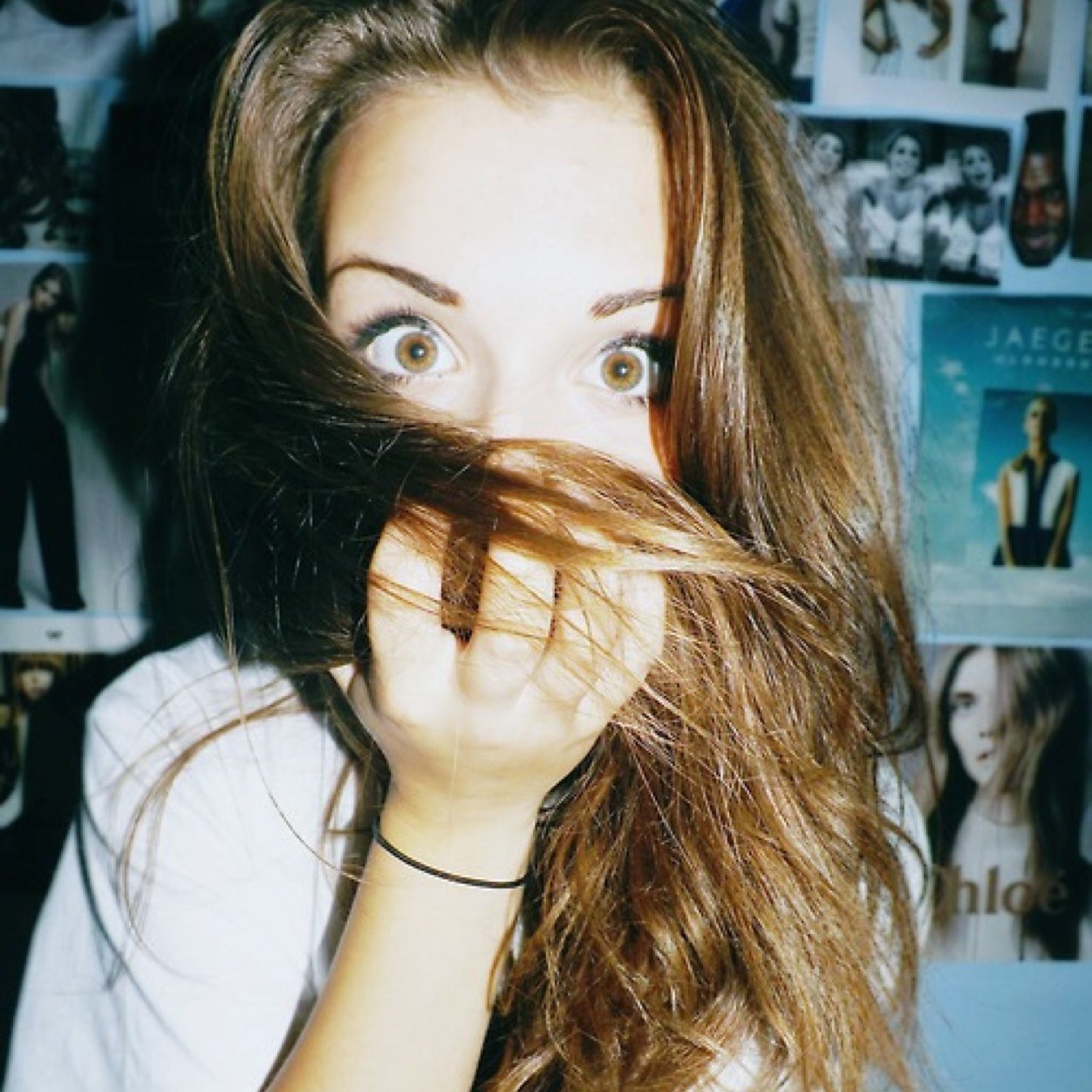 allestweetsx Profile Picture