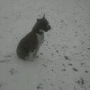 Penelope Dillard - @DillardPenelope - Twitter