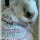 **Kuu** (@0603Ake) Twitter
