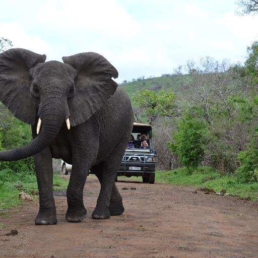 obye1's profile picture. Living the dream one day at a time