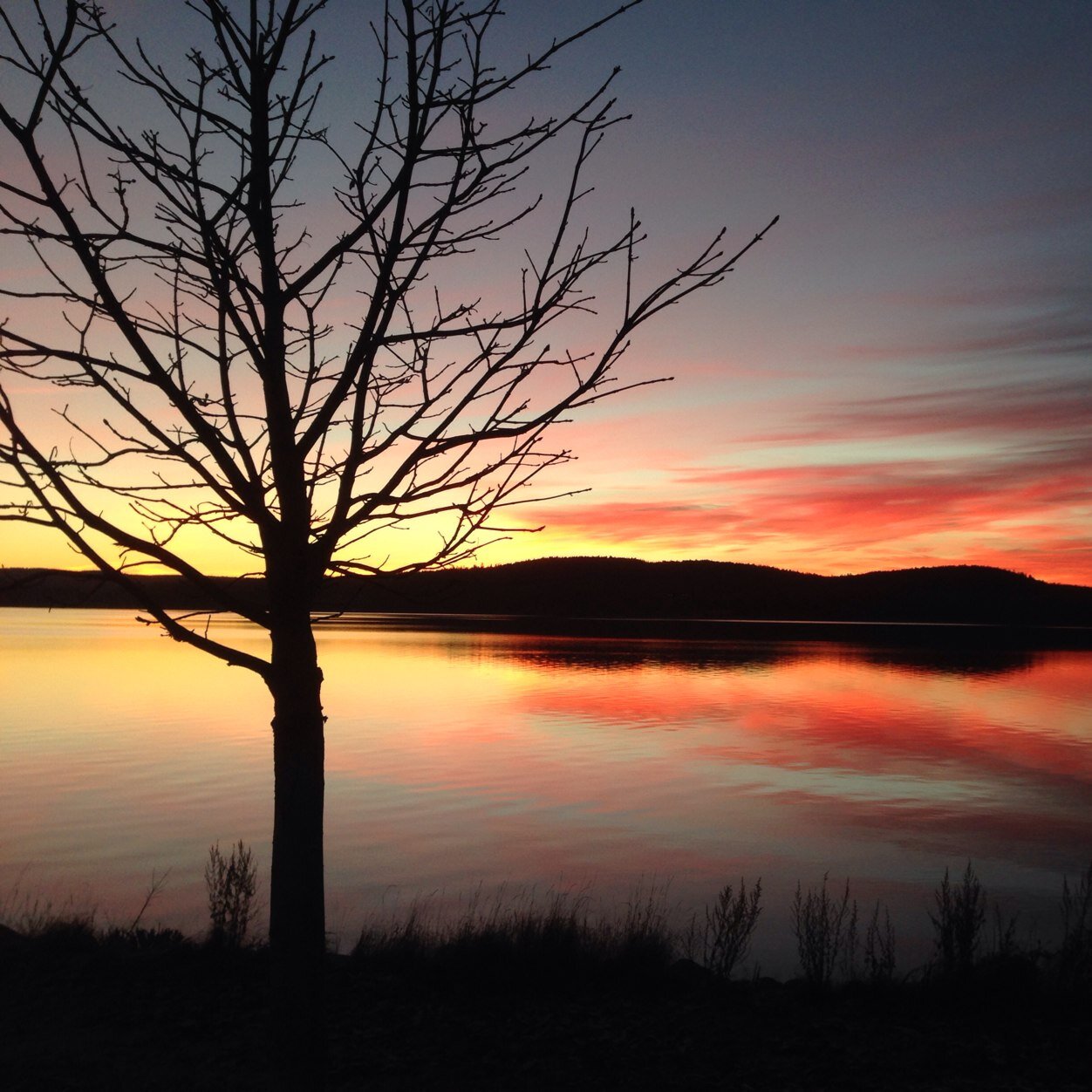 KVrli's profile picture. 2m lång beteendevetare med ett stort intresse för ekonomi och träning.