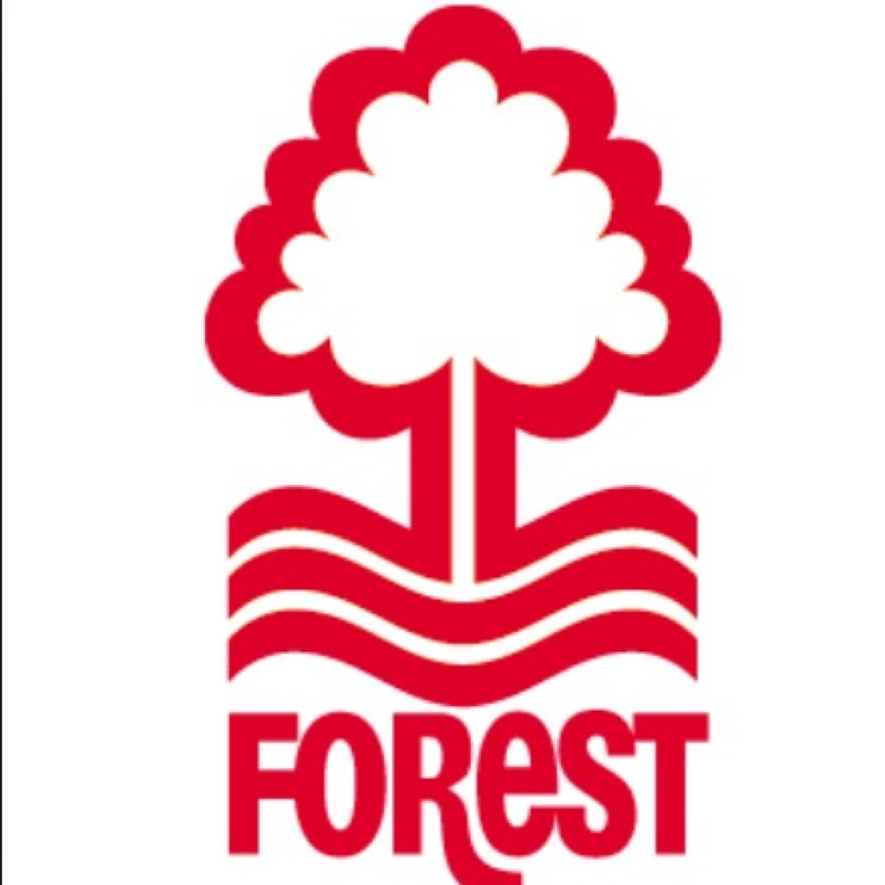 FrankyNFFC87's profile picture. 