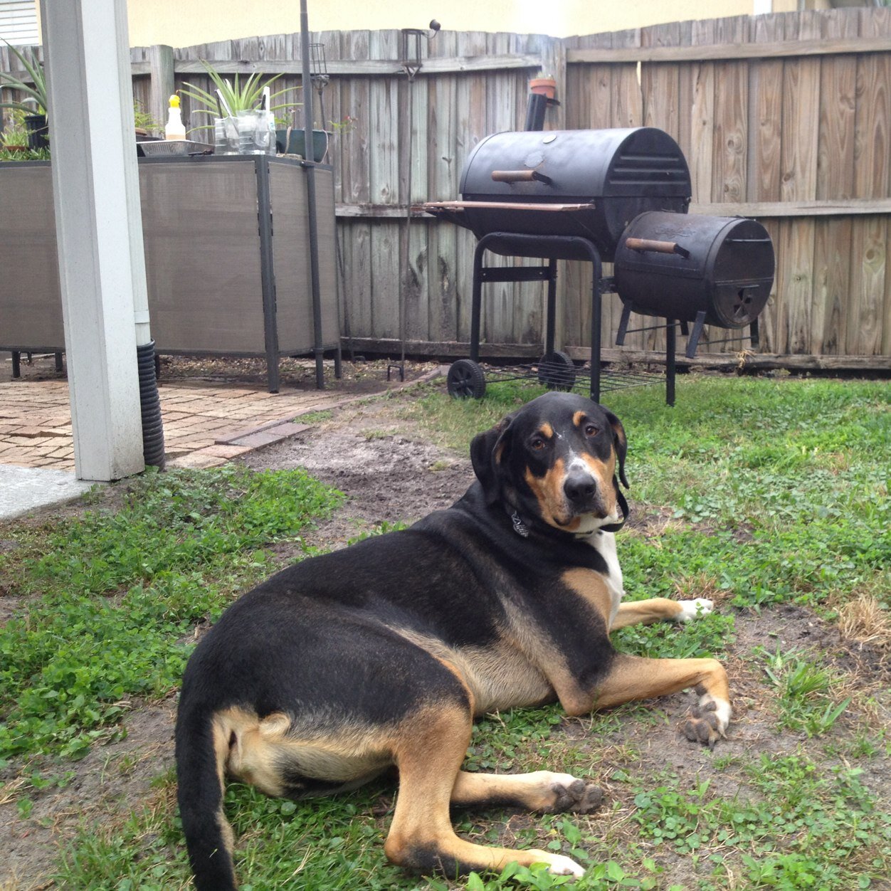 grillerchiller's profile picture. 