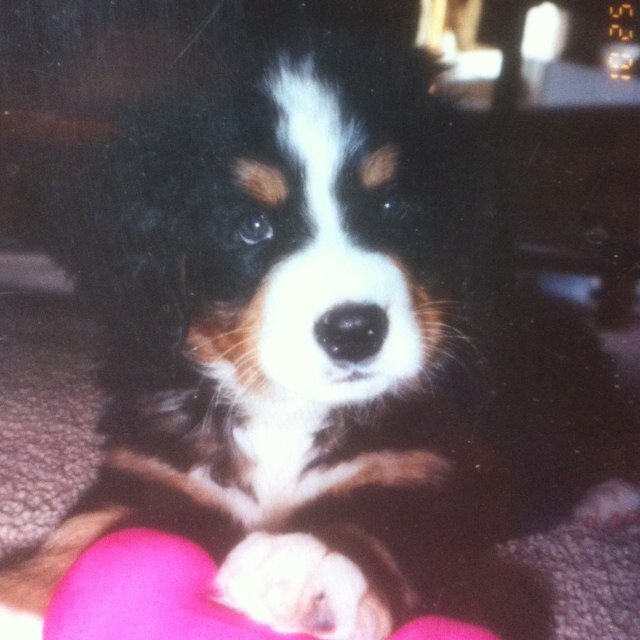 jdelaine1's profile picture. 