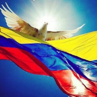 ynescecilia's profile picture. 