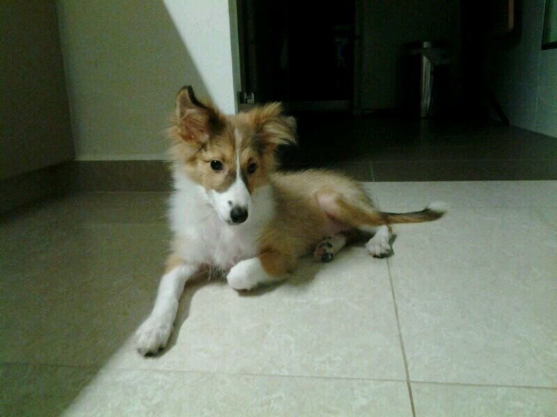 BryanNgBN's profile picture. 