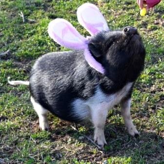 wackermm's profile picture. I am Mom...hear me roar