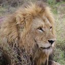 Allan Archer - @AllanArcher2 - Twitter