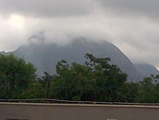 tarelajkia's profile picture. 