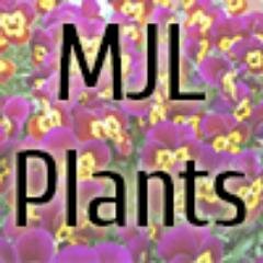Online store & website. We have a wide range of medicinal and exotic plants from all over the world; from beautiful house plants to practical healing herbs.