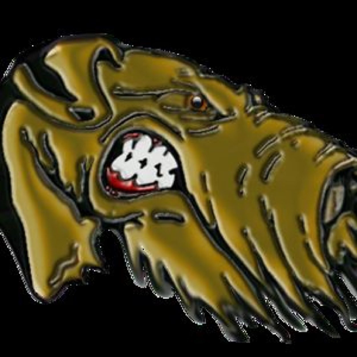 Your Home of The Alma Airedales!