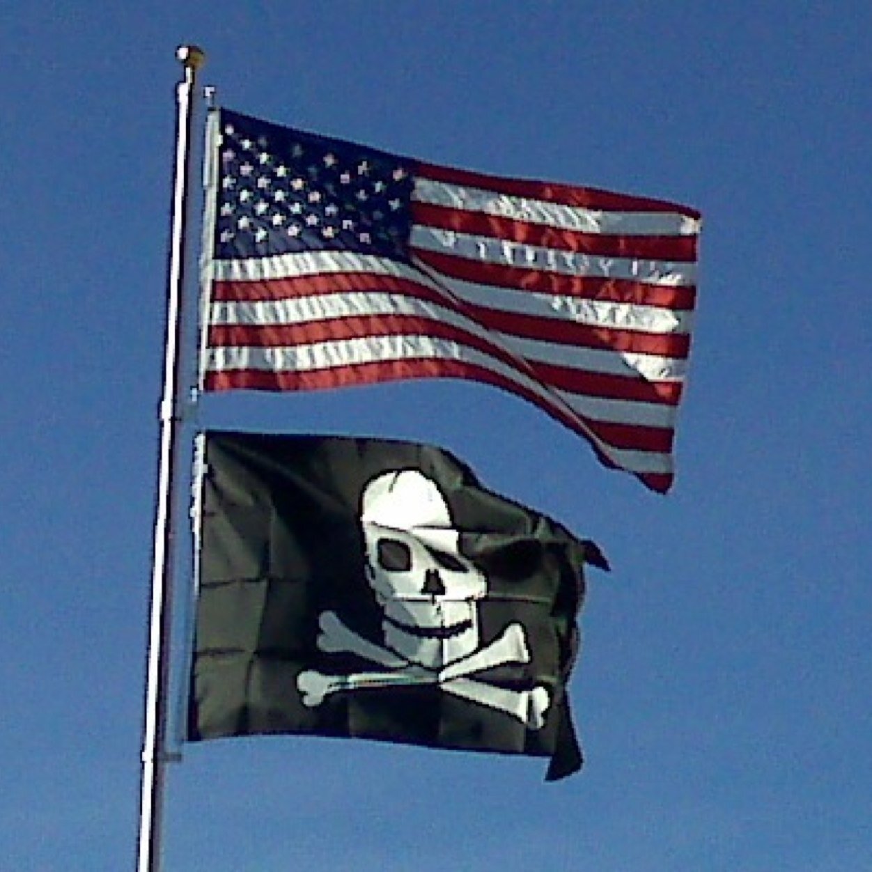 dwgourley's profile picture. 