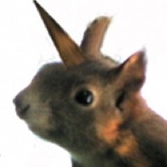 metaphora42's profile picture. Einhörnchen. Literatur-Nerd. Romantische Idealistin.
Sprache. Politik. Pokémon.
Im Himmel.