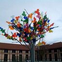 Joaquim Ramos - @jmpbramos - Twitter