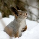 Walker Stapleton - @StalkerFableton - Twitter