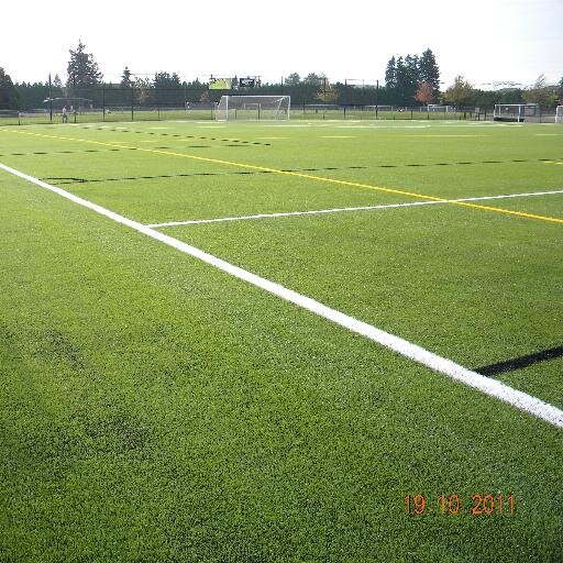 SurreySportFlds Profile Picture