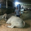 carlos will mejia - @elwester1983 - Twitter