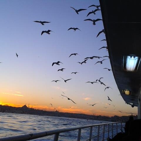 nilgunu's profile picture. 