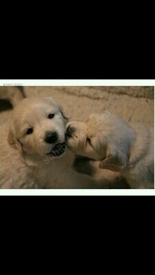 gameof_0's profile picture. 