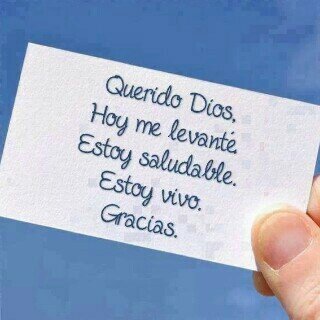 ludicita25's profile picture. Feliz dia de la vida!!!