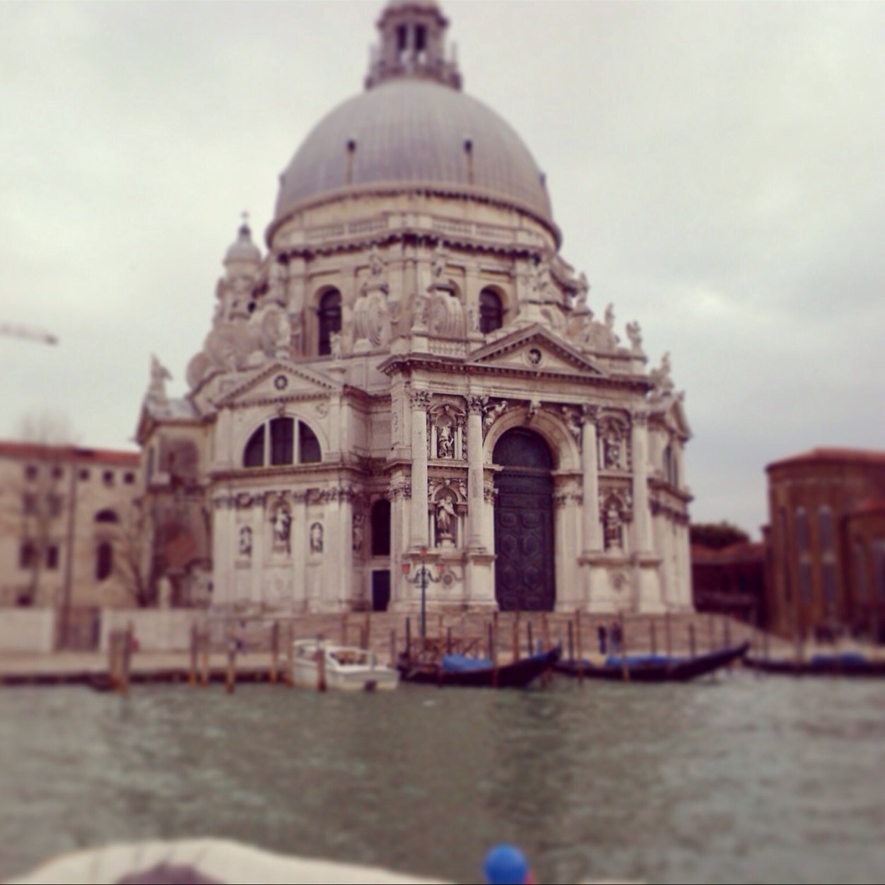 almansooria2008's profile picture. عاشر أناسا بالذكاء تميزوا ... واختر صديقك من ذوي الأخلاق