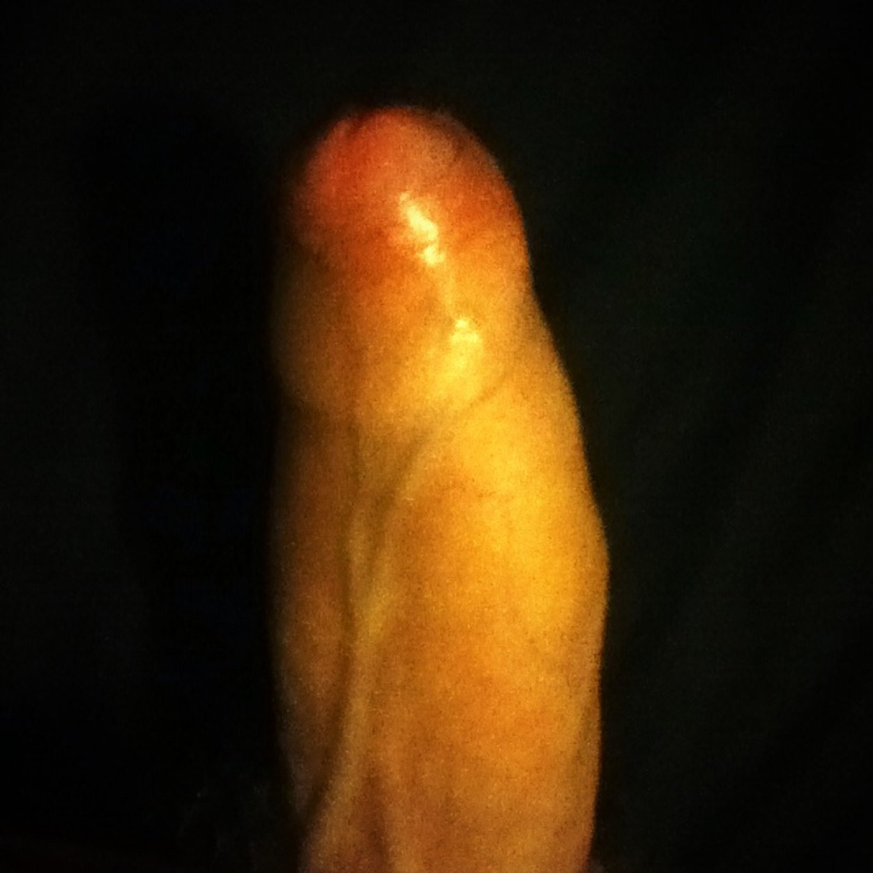 Horny gays Kik me L.bullshit