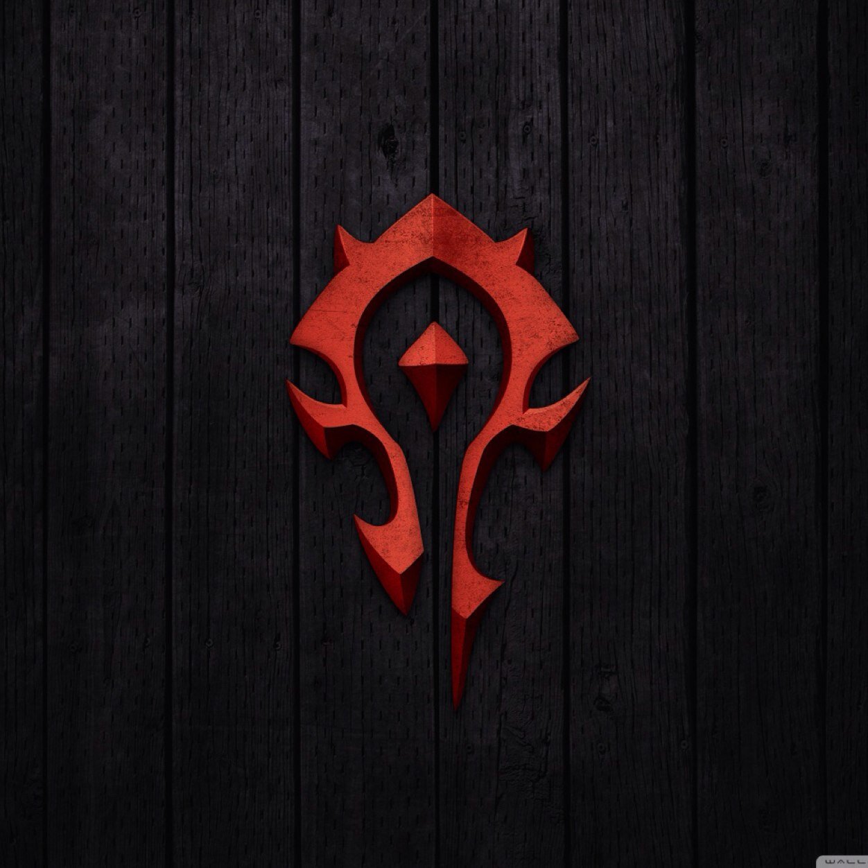 vashda's profile picture. 