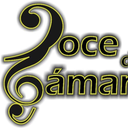 Ei12dC's profile picture. Ensamble Instrumental