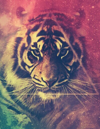 ADOLESCENTES57's profile picture. Te gustan los triangulos ??? , ami sii !!! , si te gustan los triangulos esta es tu cuenta ! ◄▲▼