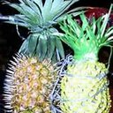 juan - @juan_rayo1 - Twitter