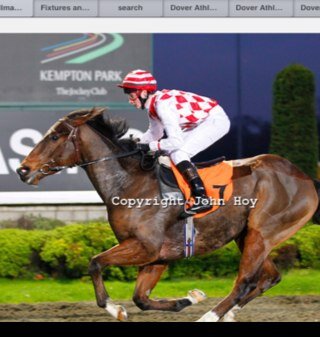 Horse racing enthusiast and supporter of Dover Athletic