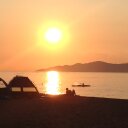 Elizabeth Low - @deracinating - Twitter