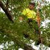 Elite Tree Care (@elitetreecare) Twitter profile photo