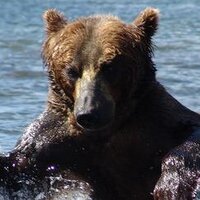 Донецк Малахов (@11doneck) 's Twitter Profile Photo