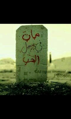 ahmedabd45321's profile picture. 