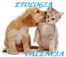 Etologa veterinaria en valencia.