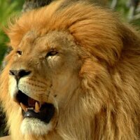 Yavuz Selim Kılıç (@ayvuz) Twitter profile photo