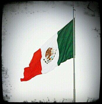 Buscando el amor...