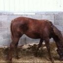 Rob Lynch - @RobLehinch - Twitter