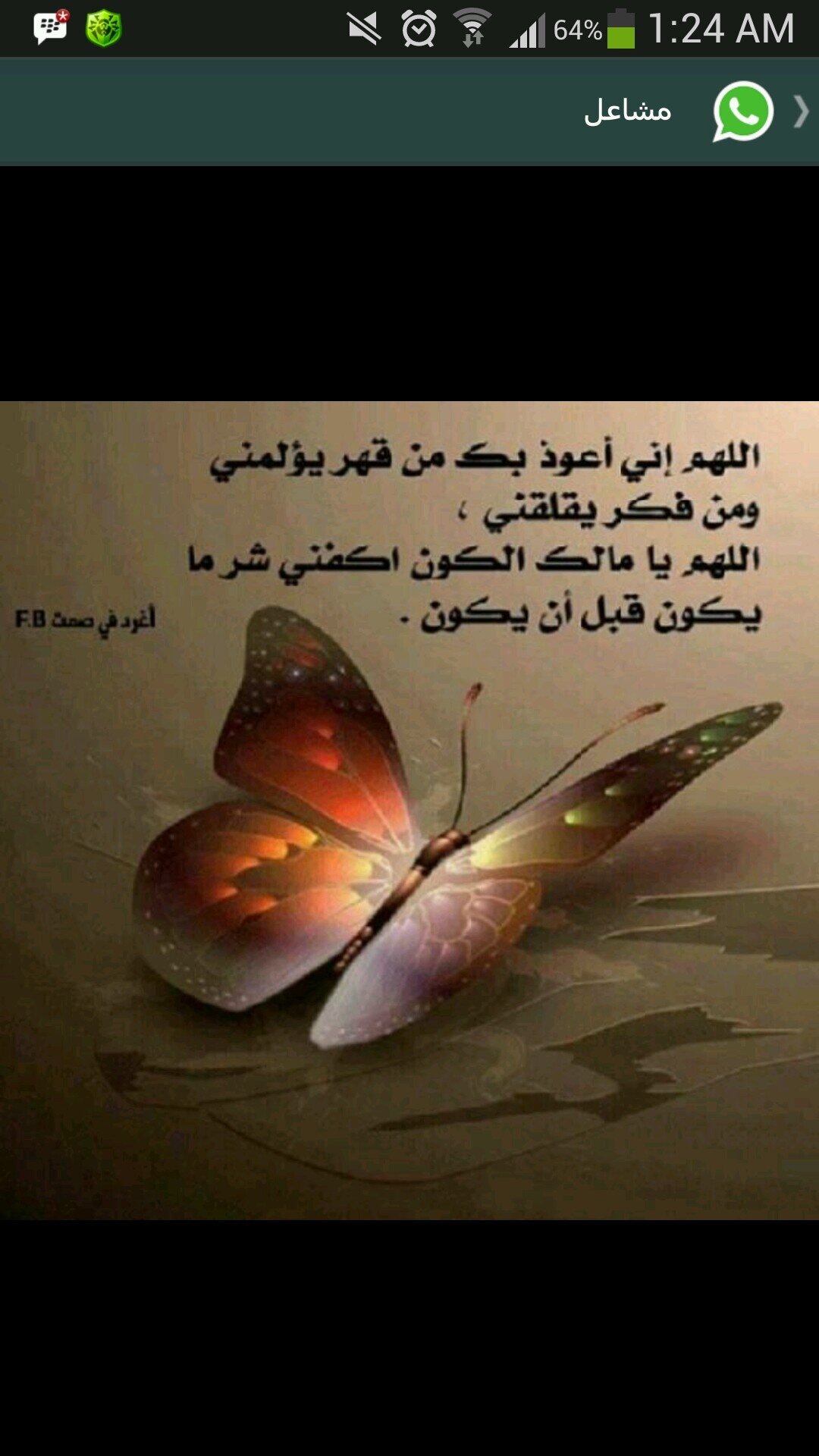 مانيب والله هافية عرق وجدود
شيخه واخاف من الملامه تجيني
اضحك ولكن ماتعدا لي حدود
واميز المرجوج والعاقليني
