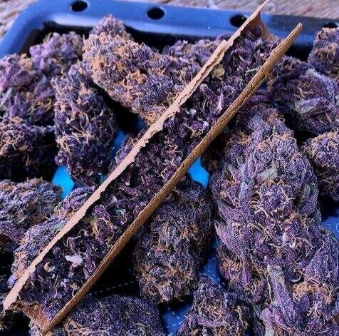 count it up, bag it up, we love money we love weed #stoner #loner • I #followback! • Follow @DrugsWisdom!