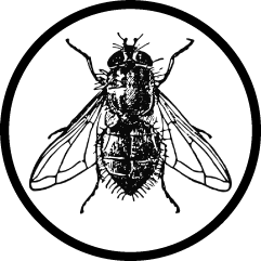 LSDiversified's profile picture. Professional  Land and Hydro-graphic Surveyors Licensed in Florida