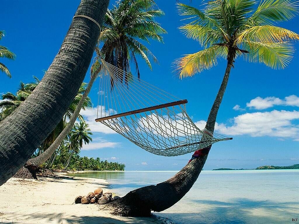 uniquallyunique's profile picture. I do what I can do and do it well what I cant do I let others do. Life is measured by the smiles we help create..co owner http://t.co/1DPMIcvFhq  check it out