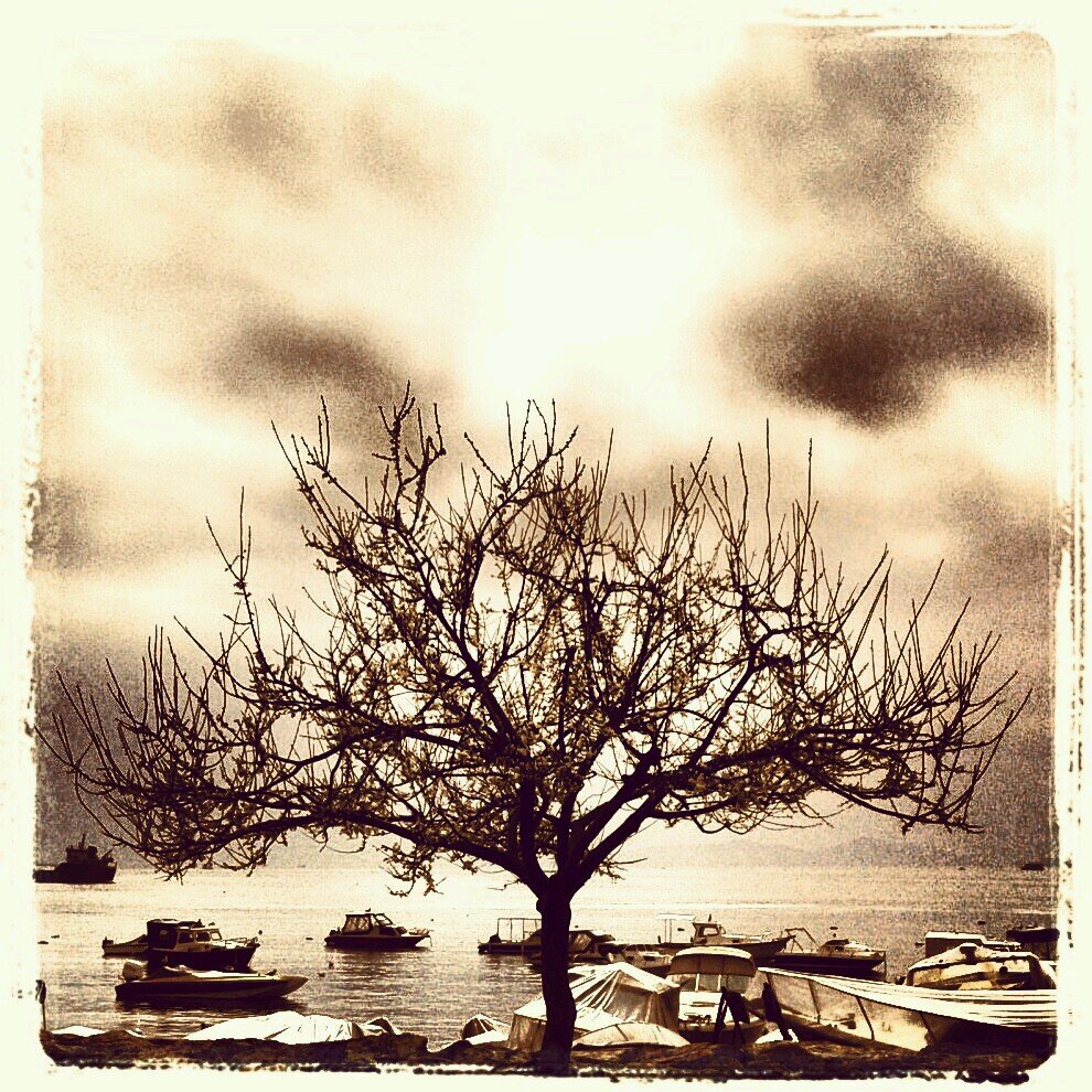 hayata_not's profile picture. 