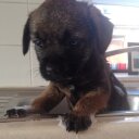 Mary Williams Edgar - @MaryWmsEdgar - Twitter