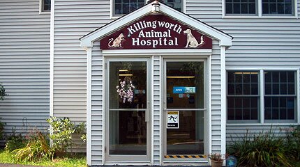KillingworthVet's profile picture. Killingworth Animal Hospital is a local, family-friendly, veterinary hospital serving Killingworth and surrounding communities.