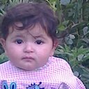 kneset mary gergis - @elkhdmaa - Twitter