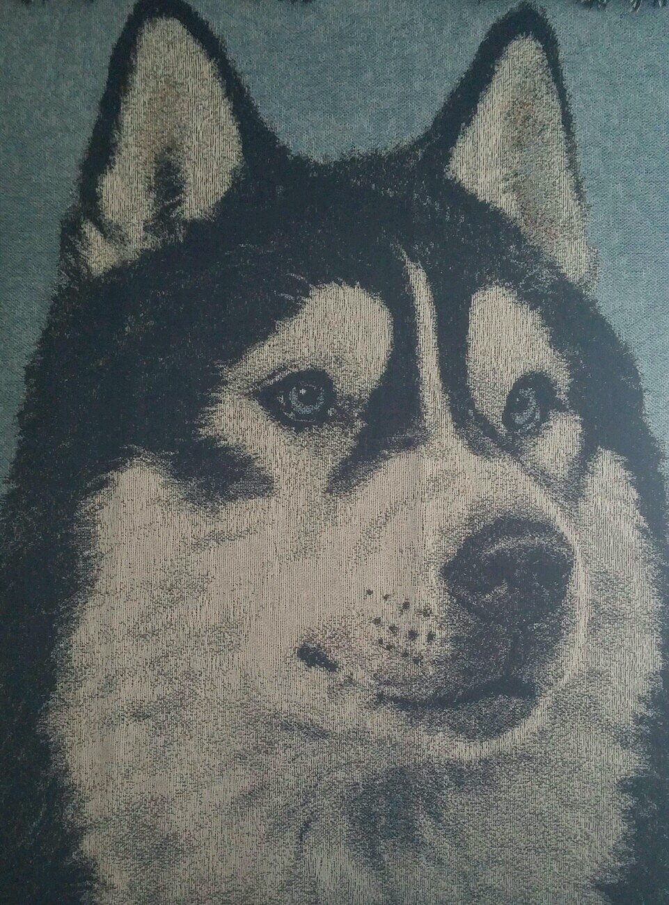 BillGibbs007's profile picture. 