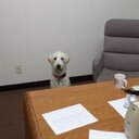 Scott Kantrowitz - @SJKLA - Twitter