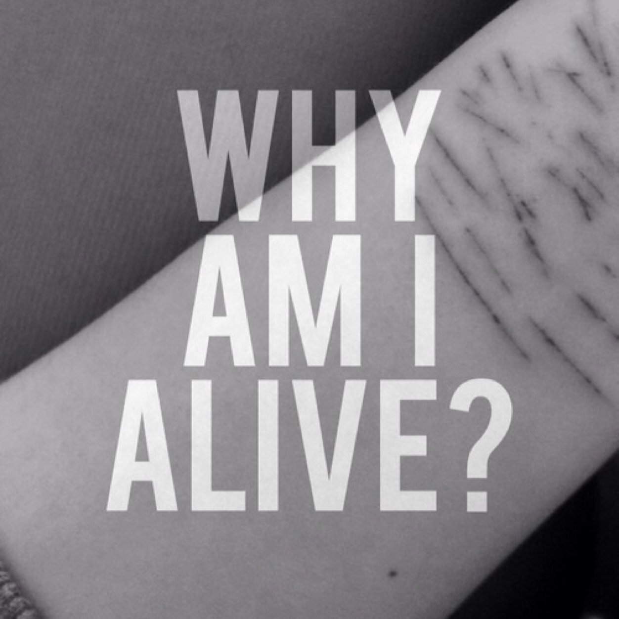 Just another punk who find peace in slitting her wrists